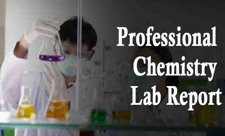 professional lab report
