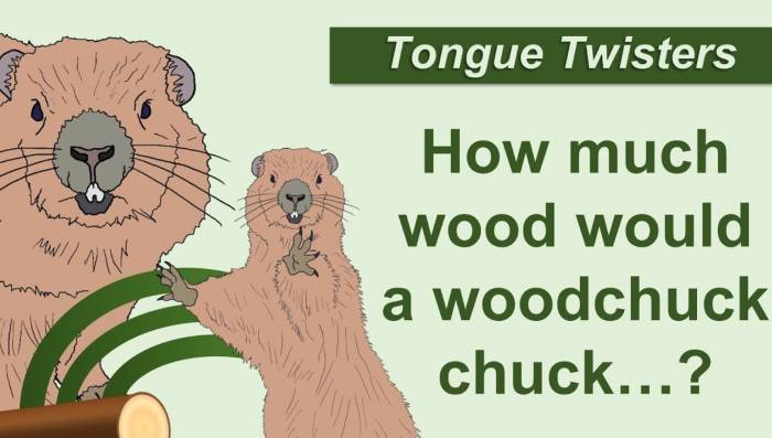 Tongue Twisters: "Woodchuck"