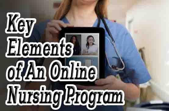 Online Nursing Program